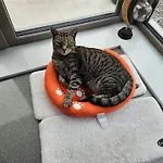 Suaimhneas Casa di campagna Lahinch