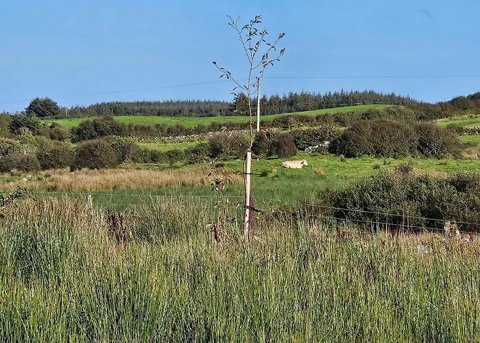 Suaimhneas Landhaus Lahinch