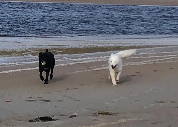 Suaimhneas Country house